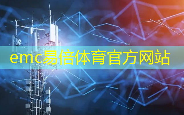 emc易倍：武汉智慧城市创业投资