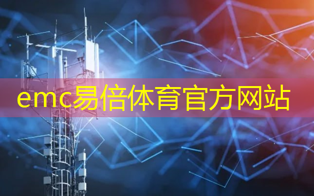 emc易倍体育官方网站：广西智能化全球集运物流企业