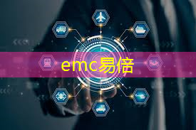 emc易倍：聊城智慧城市王艳东简历