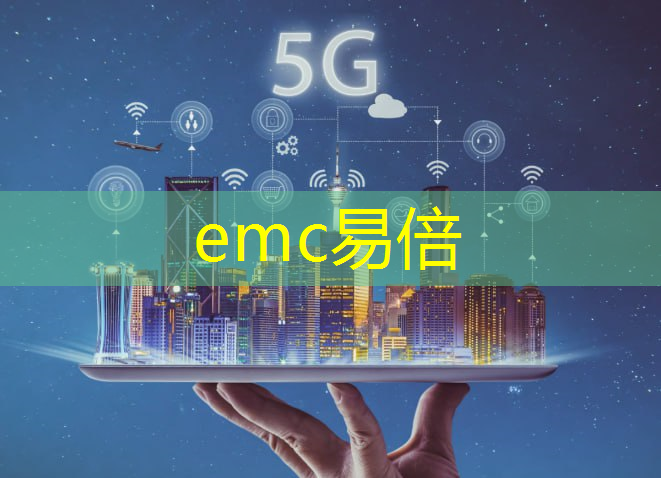 emc易倍体育官方网站：智慧思明城市治理服务队